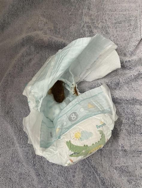 Diaper Porn Videos (5257) .